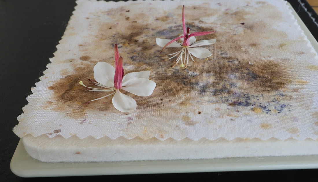 Microfleur Microwave Flower Press. Fully illustrated tutorial for creating your own beautiful pressed flowers.