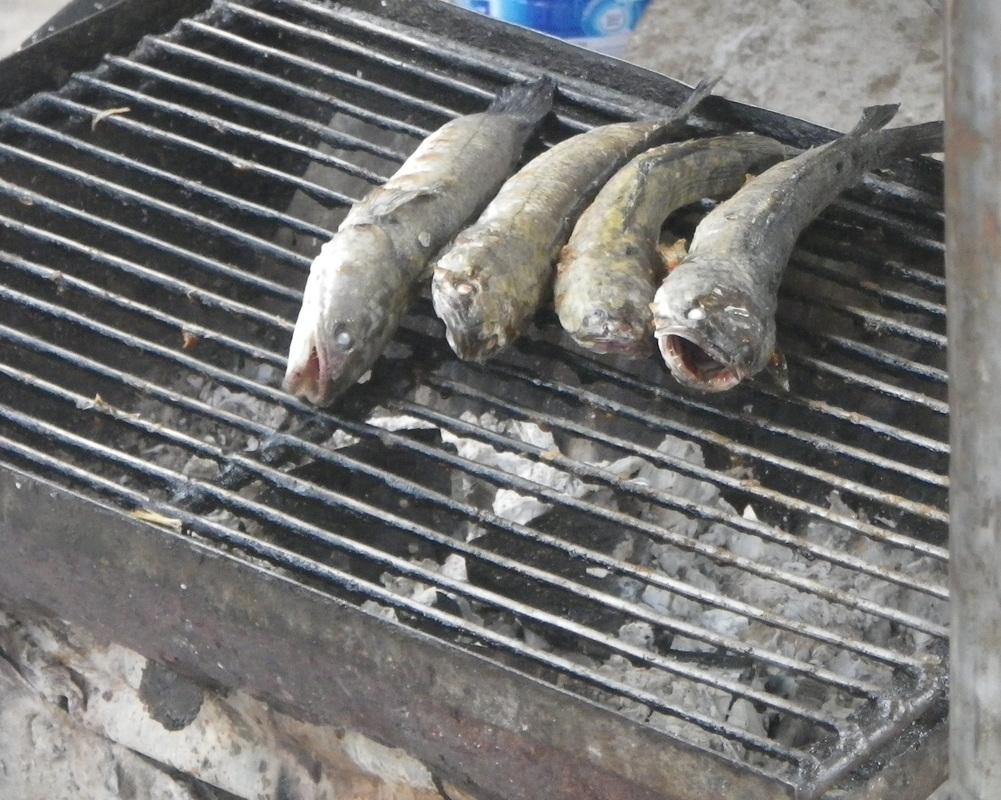 Fish Cooking, Markets, Siem Reap, Cambodia