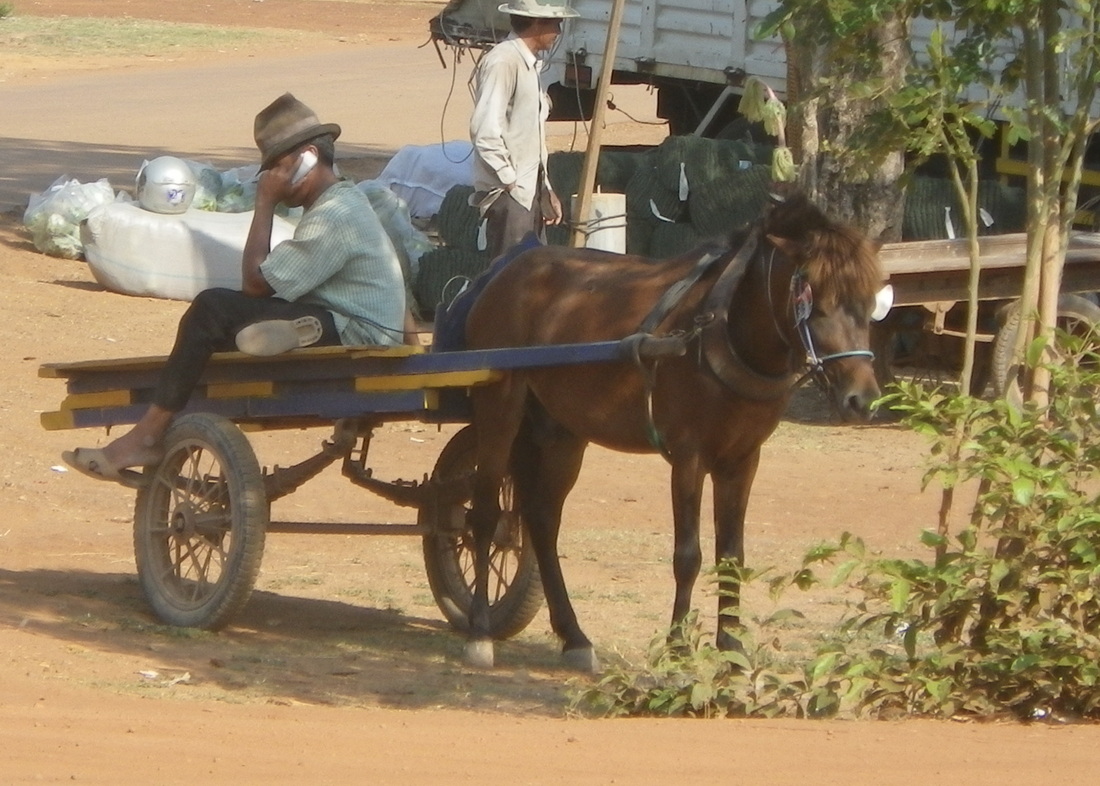 Horse Cart in Rural Cambodia