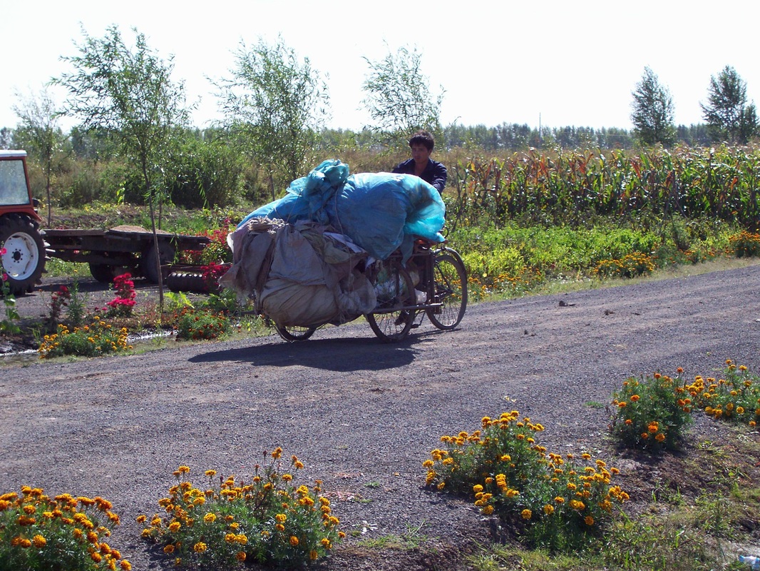 Rural China - Overloaded Push-bike