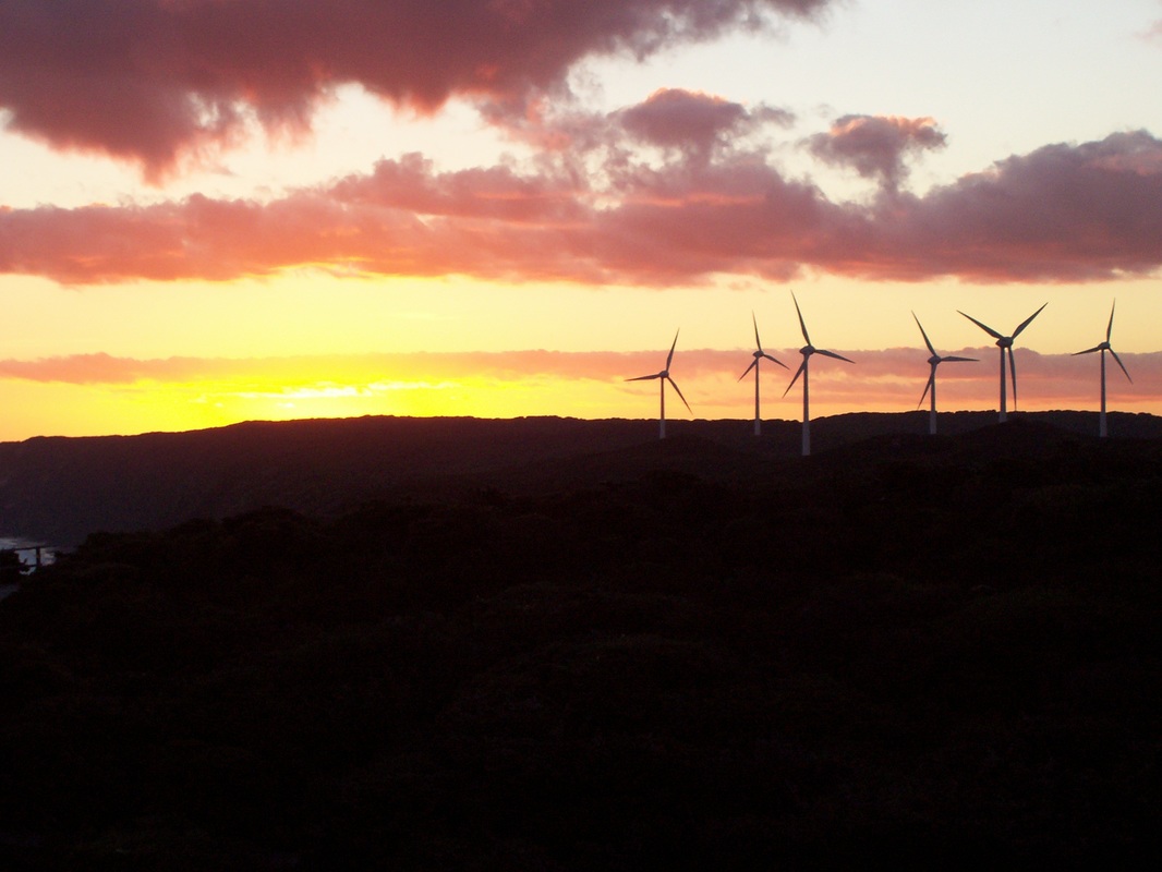 Albany Wind Farm - Wind turbines at sunset