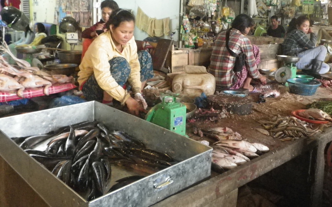 Fish Stall, Markets, Siem Reap, Cambodia
