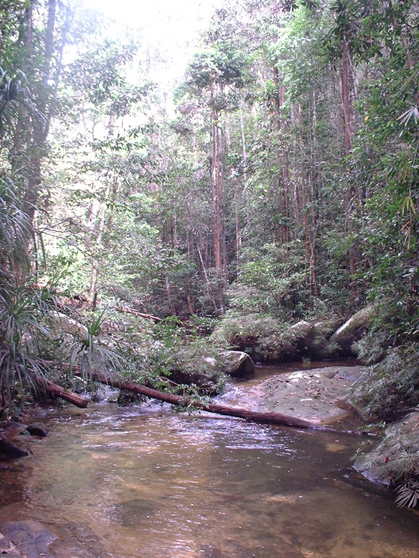 River, Mount Ophir, Malaysia