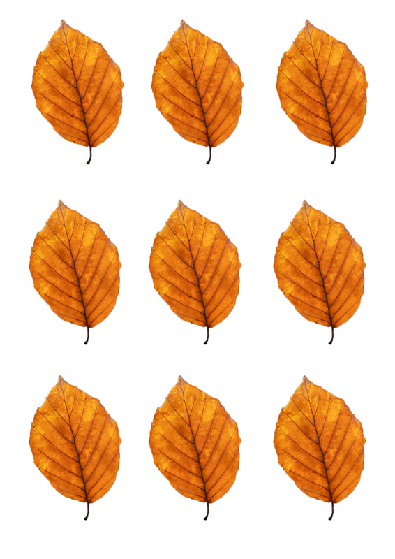 Autumn Leaves - free downloadable & printable leaf templates for scrapbooking, card making, journalling, paper crafts & kids crafts. Craftnhome.com