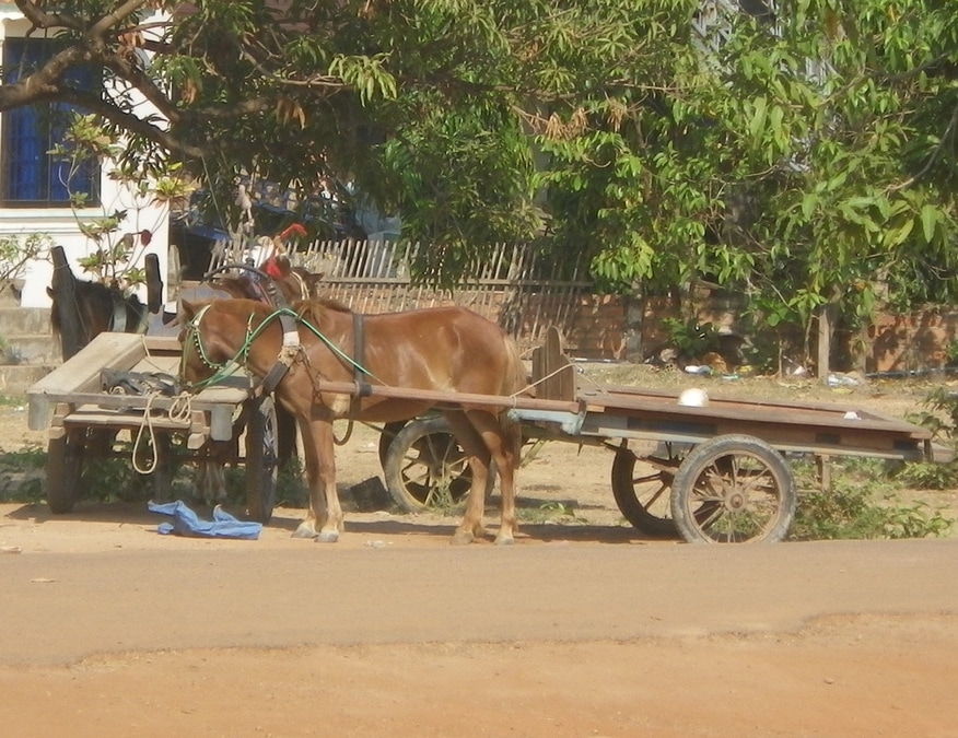 Horse Cart in Rural Cambodia