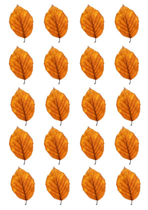 Printable & Downloadable Autumn Fall leaves for craft projects. Craftnhome.com