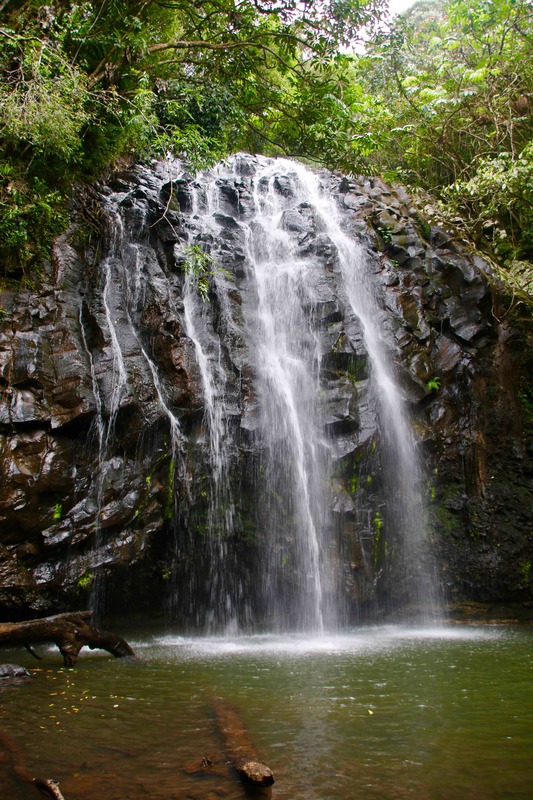 Elinjaa Falls, Atherton Tablelands, Queensland, Australia