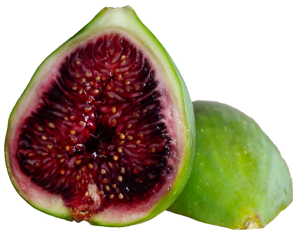 Photo of fig. Ripe, red and succulent, cut in half. 
