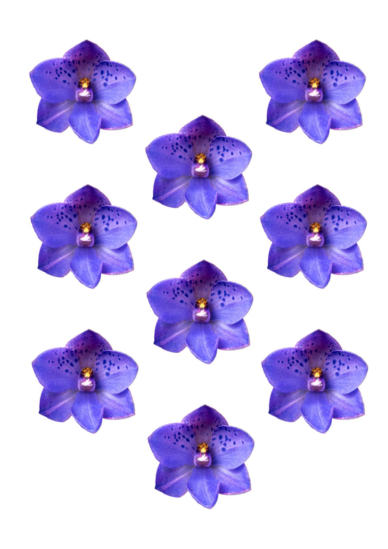 Printable Flower Embellishments for scrapbooking, card making, journalling and other papercrafts. Spotted Sun Orchid.