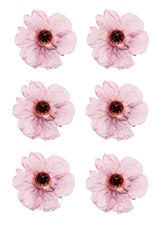 Printable Flower Embellishments for scrapbooking, card making, journalling and other papercrafts. Tinted Poppy Tree Flower.