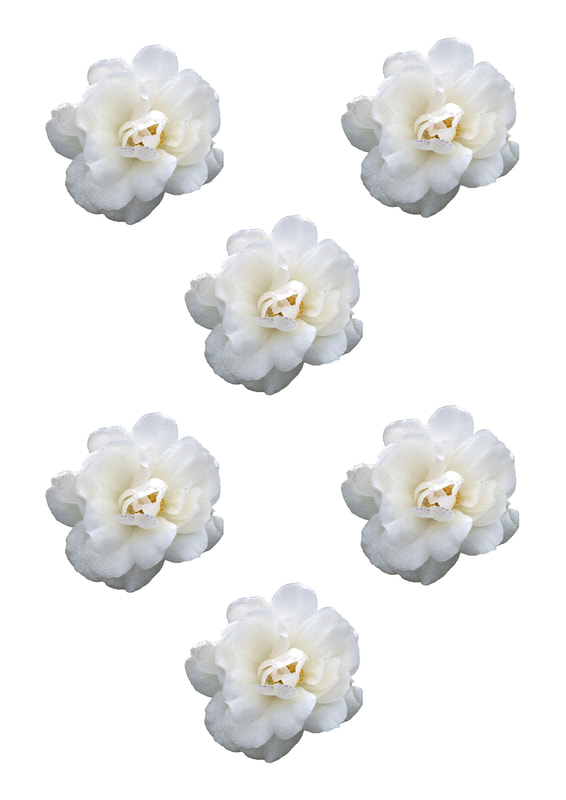 Printable Flower Embellishments for scrapbooking, card making, journalling and other papercrafts. White Rose. 