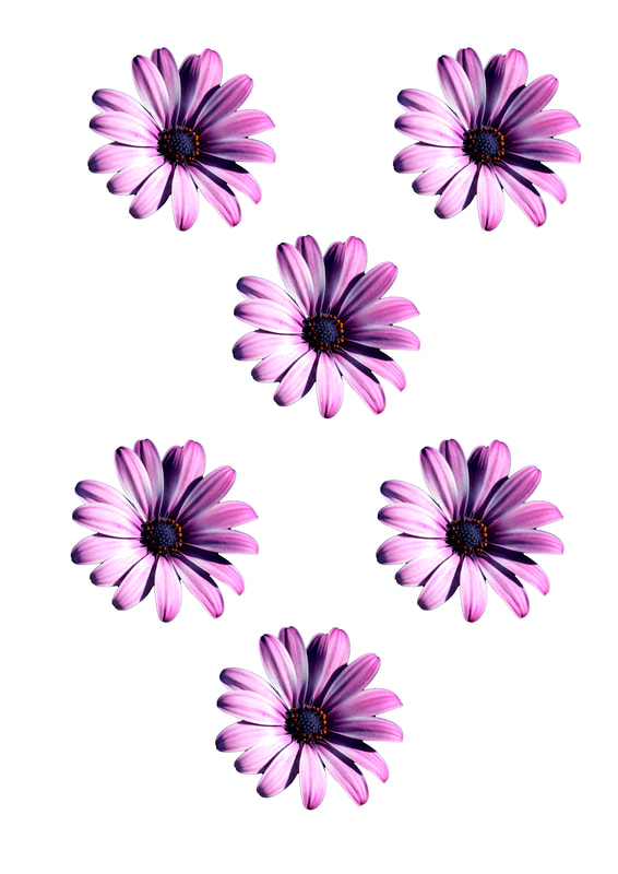 Printable Flower Embellishments for scrapbooking, card making, journalling and other papercrafts. Purple Daisy.