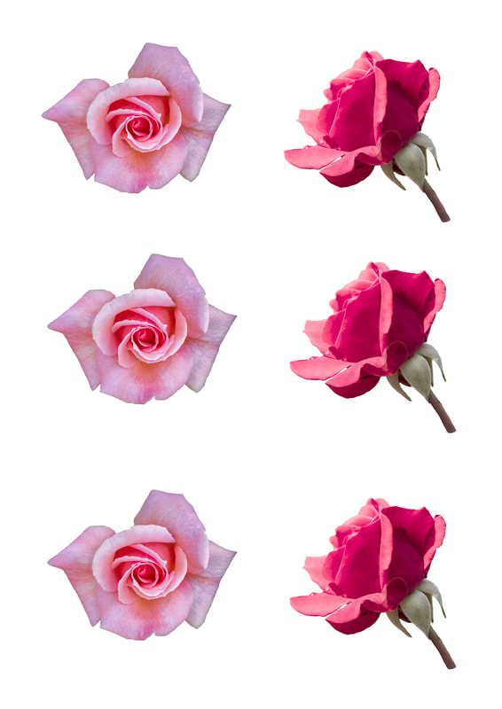 Printable Flower Embellishments for scrapbooking, card making, journalling and other papercrafts. Roses pink & red.