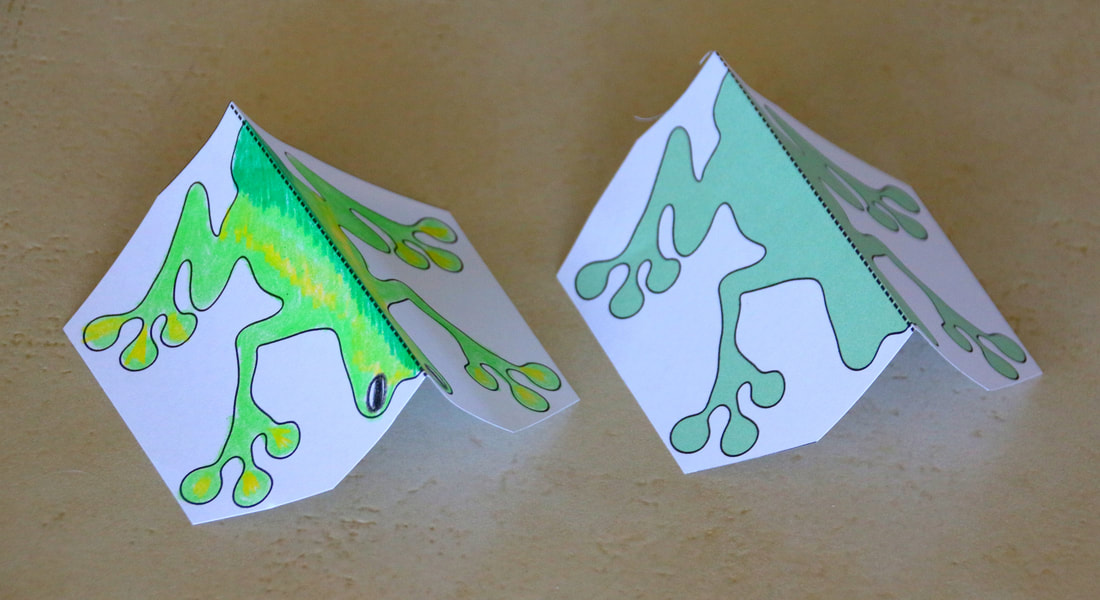 Paper Frog Craft and Activity for kids. Free printable templates.