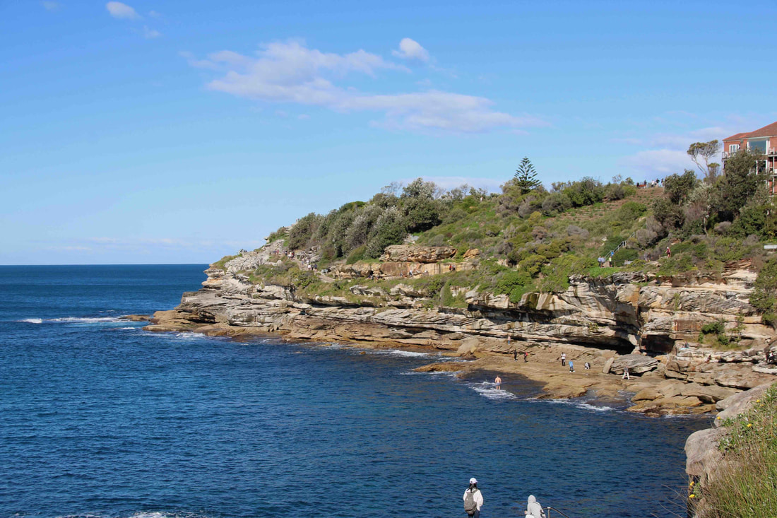 PictureThe cliffs along the Bondi to Bronte Coastal Walk. Bondi Beach, Sydney, Australia.