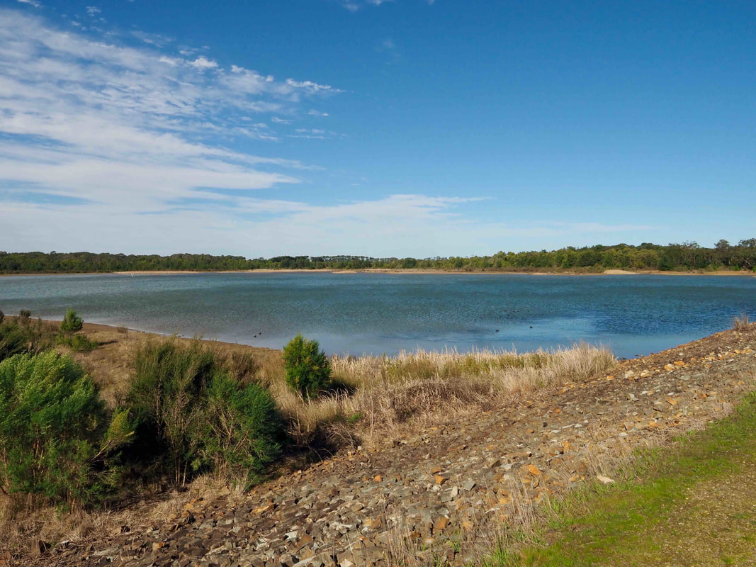 Bittern Reservoir, Mornington Peninsula, Victoria, Australia