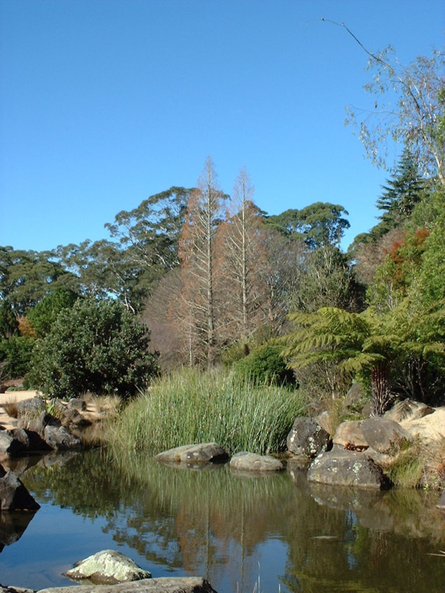 Mount Tomah, Botanical Gardens, Blue Mountains, New South Wales, Australia, Gardens