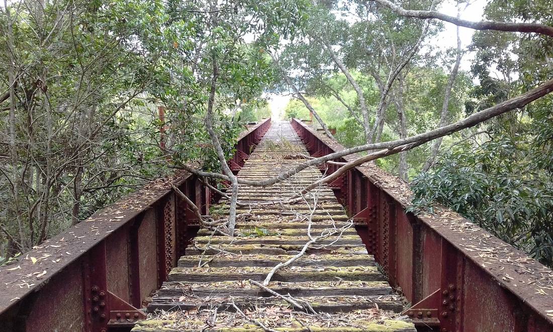 Old Train Bridge, Peterson Creek Walking Track, Yungaburra, Atherton Tablelands, Queensland, Australia. 